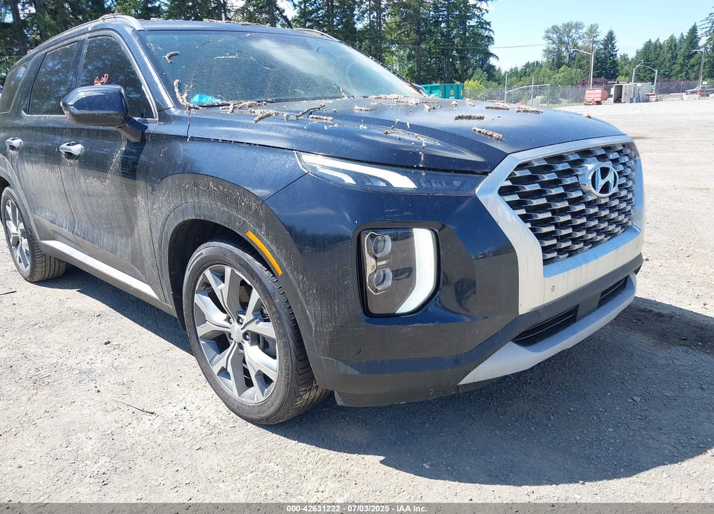2020 HYUNDAI PALISADE VIN: KM8R44HE6LU064099