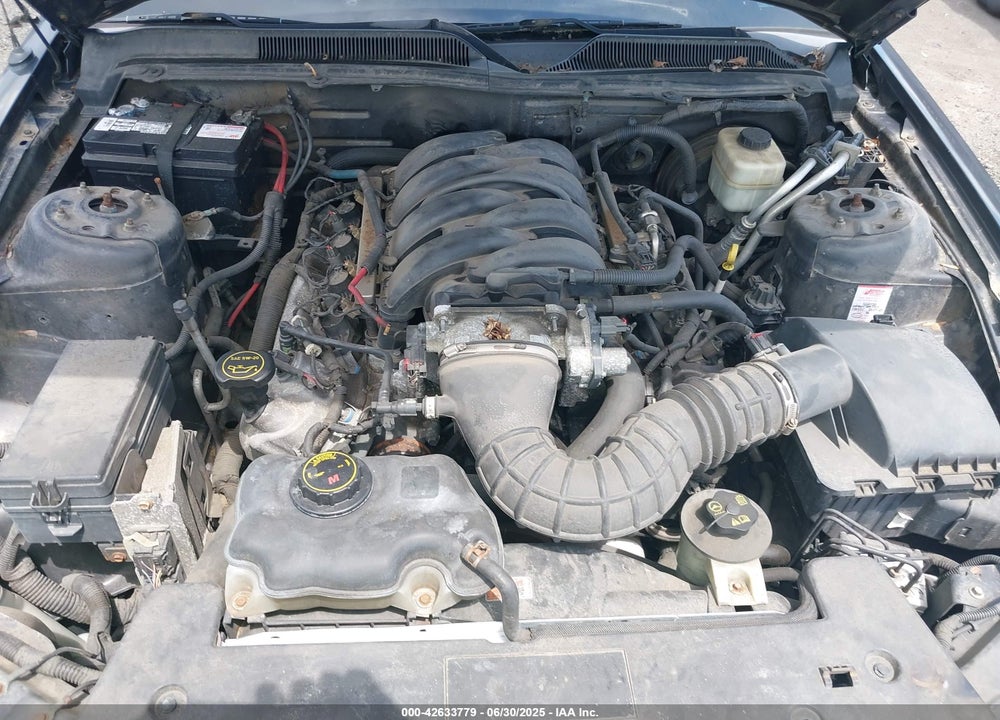 2007 FORD MUSTANG VIN: 1ZVHT82H875281518