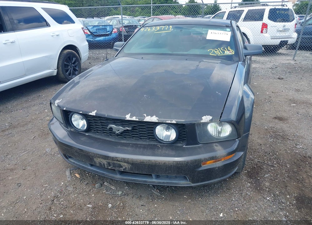 2007 FORD MUSTANG VIN: 1ZVHT82H875281518