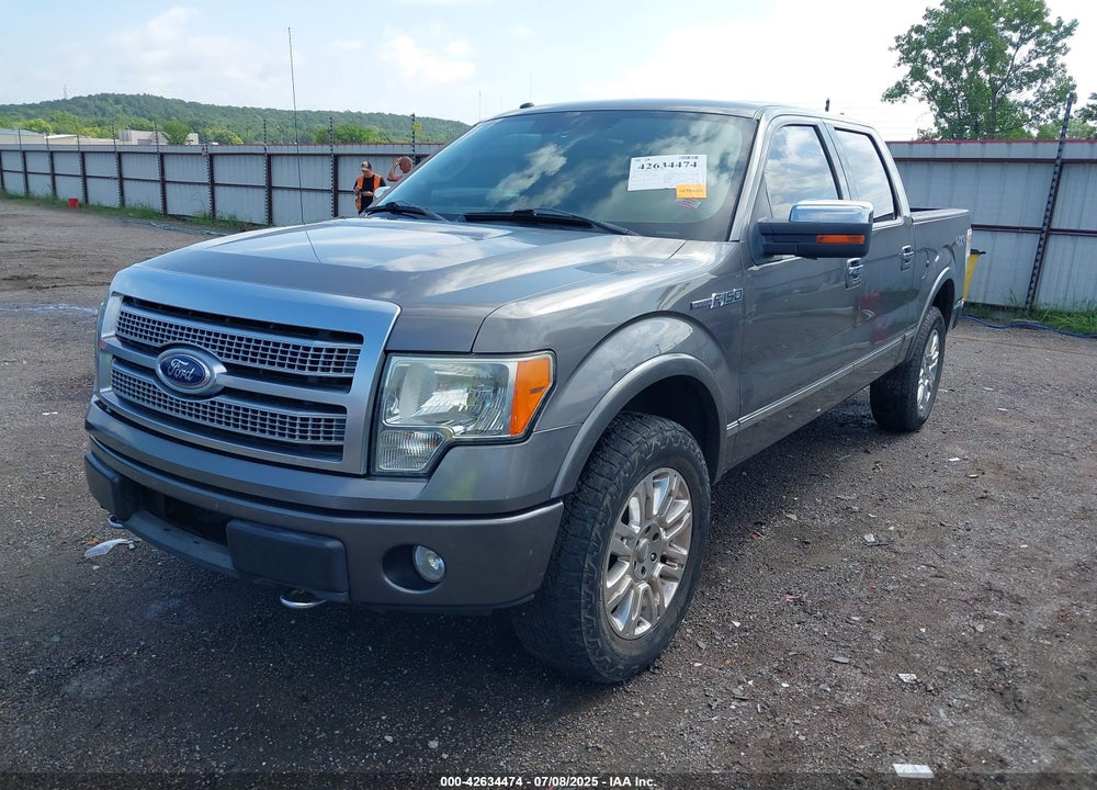 2010 FORD F-150 VIN: 1FTFW1EV5AFC50304
