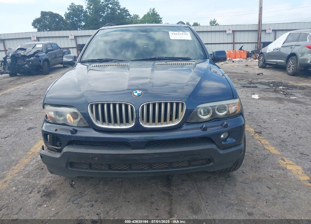 2004 BMW X5 4.4I VIN: 5UXFB53534LV09365