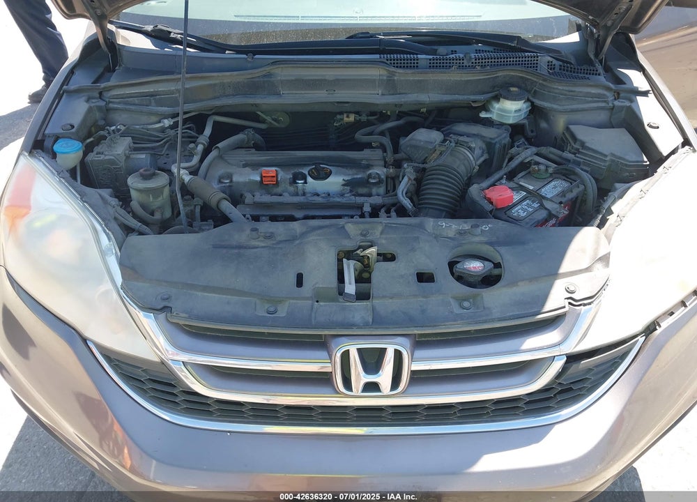 2010 HONDA CR-V VIN: 3CZRE4H55AG701298