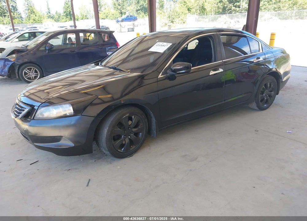 2010 HONDA ACCORD VIN: 1HGCP3F83AA001695