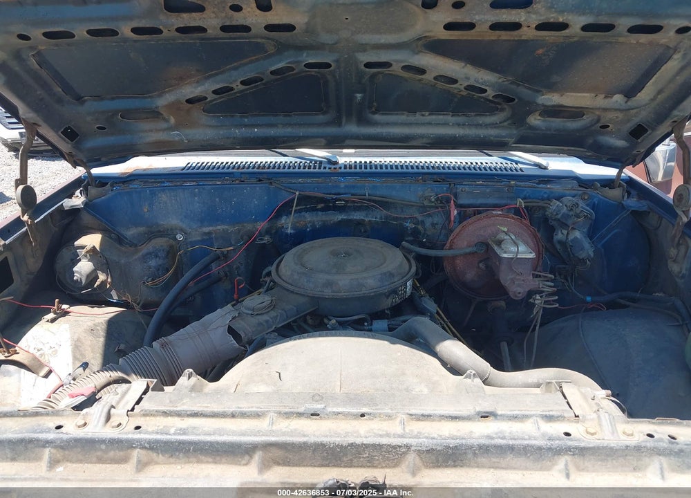 1982 CHEVROLET C20 VIN: 1GCGC24M6CJ114288