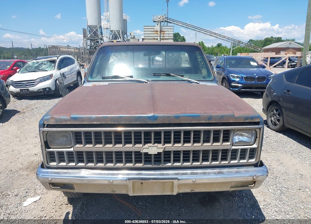1982 CHEVROLET C20 VIN: 1GCGC24M6CJ114288