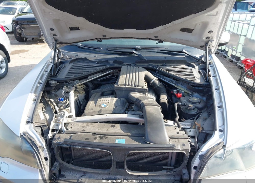 2009 BMW X5 VIN: 5UXFE43539L273356