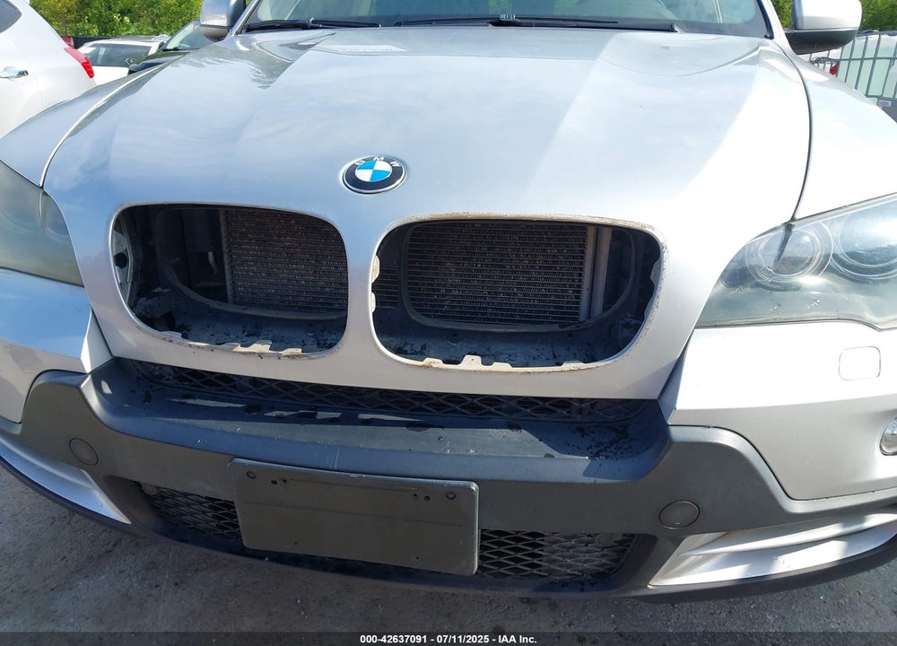 2009 BMW X5 VIN: 5UXFE43539L273356