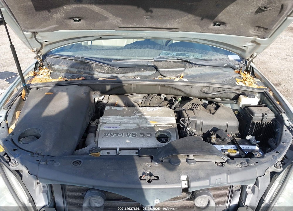 2004 LEXUS RX 330 VIN: 2T2GA31U54C010500