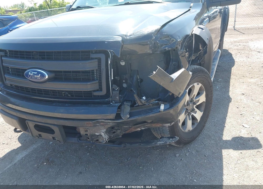 2013 FORD F-150 VIN: 1FTFX1EF3DKG42263