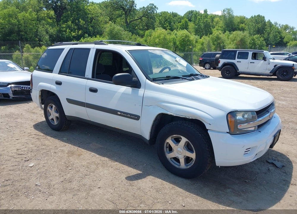 2004 CHEVROLET TRAILBLAZER LS VIN: 1GNDT13S742351033
