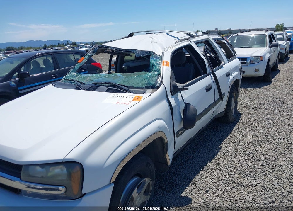 2004 CHEVROLET TRAILBLAZER LS VIN: 1GNDS13S042196375