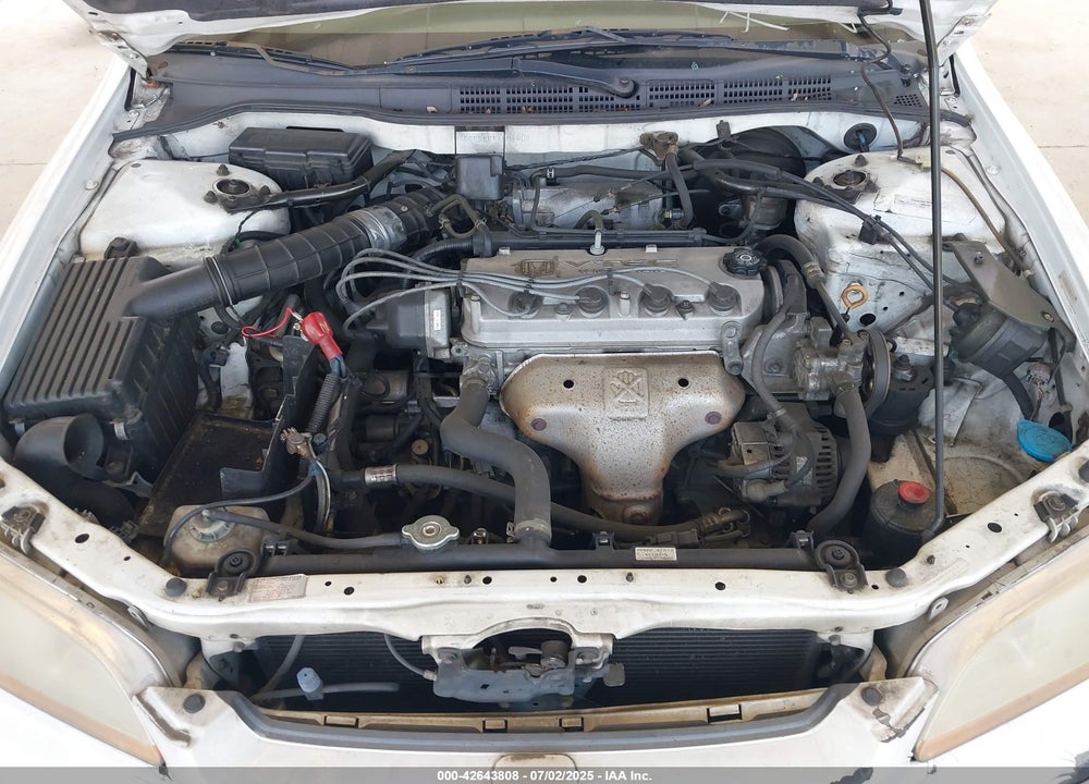 1998 HONDA ACCORD LX VIN: 1HGCG5640WA004358