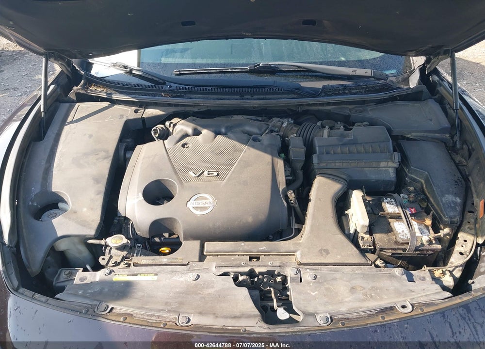 2013 NISSAN MAXIMA VIN: 1N4AA5AP8DC810206
