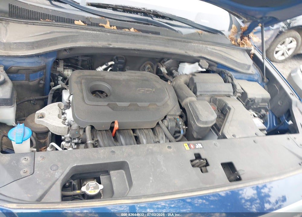 2019 HYUNDAI SANTA FE VIN: 5NMS3CAD4KH009791