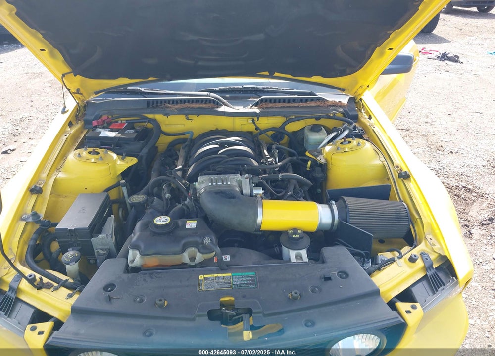 2005 FORD MUSTANG GT VIN: 1ZVFT85H955195294