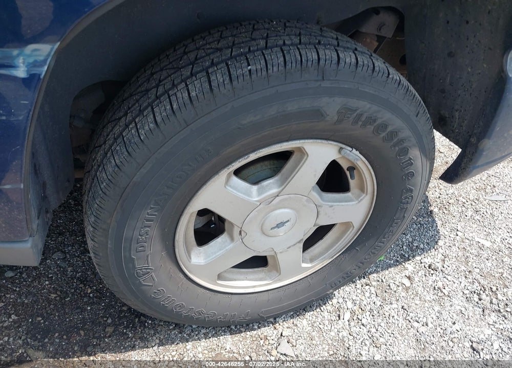 2002 CHEVROLET TRAILBLAZER LS VIN: 1GNDT13S622437186