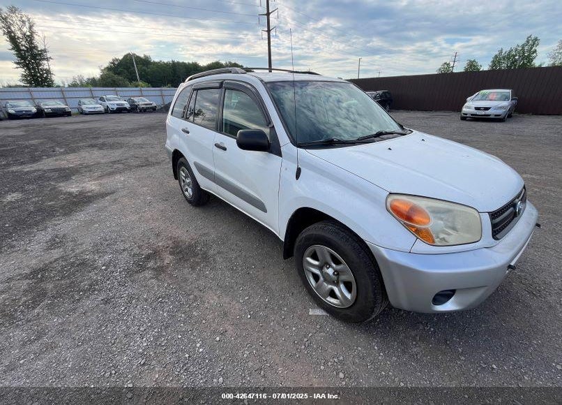 2004 TOYOTA RAV4 VIN: JTEHD20V546017132