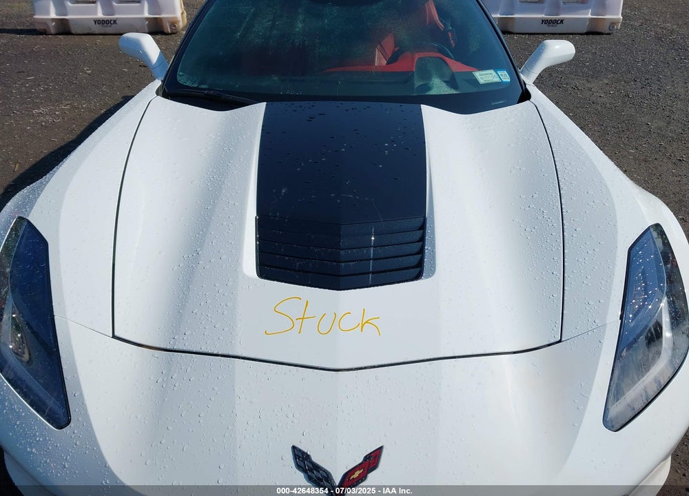 2019 CHEVROLET CORVETTE VIN: 1G1YY2D70K5100337