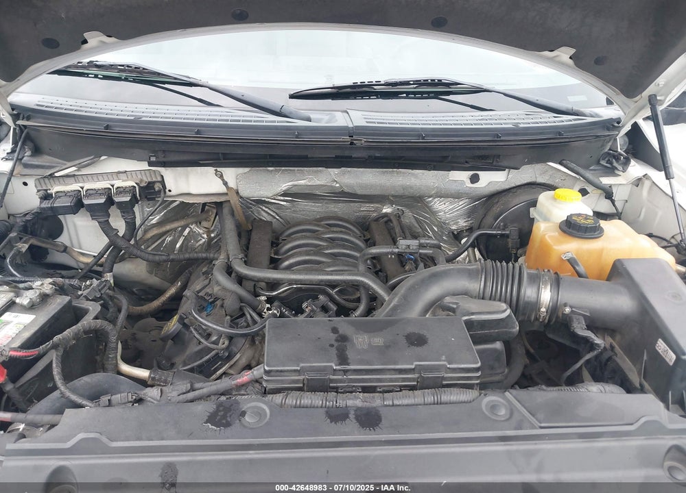 2014 FORD F-150 VIN: 1FTFX1CF8EKG06878