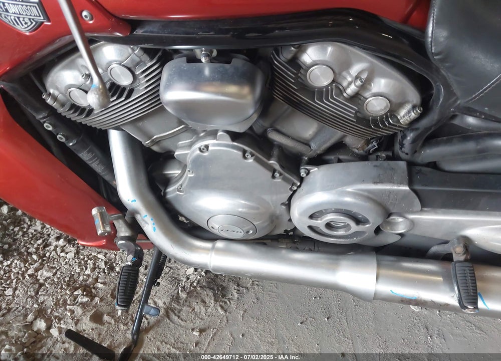 2013 HARLEY-DAVIDSON VRSCF VROD MUSCLE VIN: 1HD1HPH11DC806189