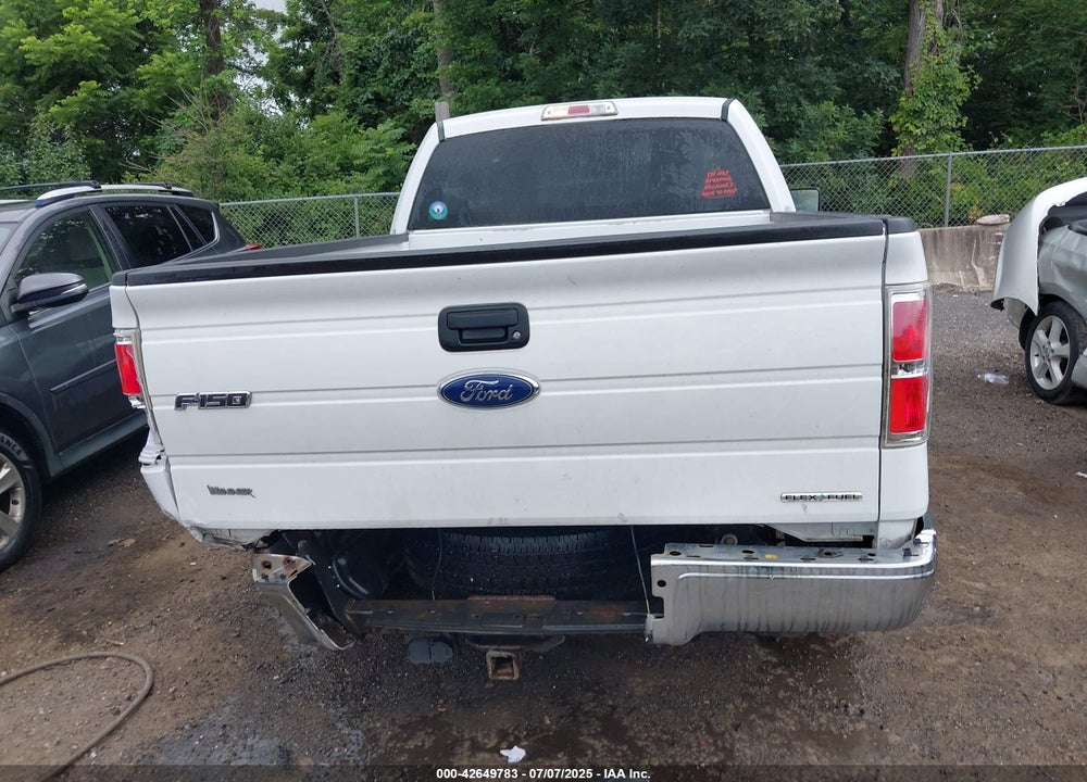 2013 FORD F-150 XLT VIN: 1FTMF1CM5DFD74210