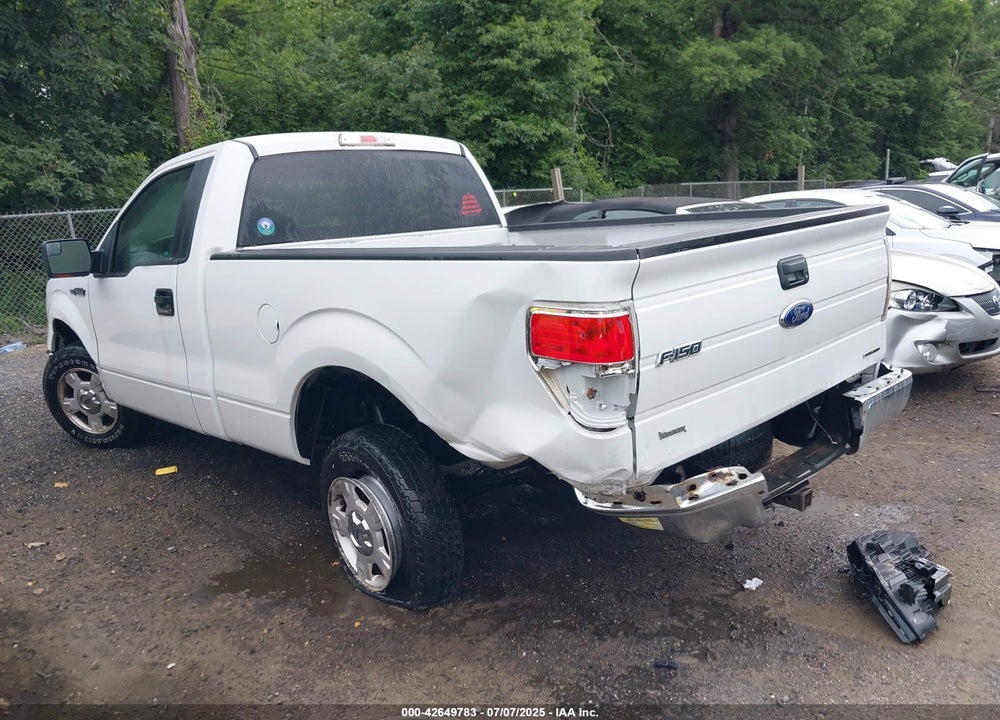 2013 FORD F-150 XLT VIN: 1FTMF1CM5DFD74210