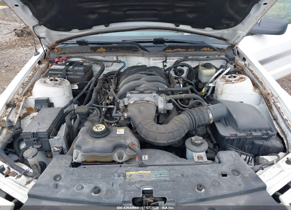 2008 FORD MUSTANG VIN: 1ZVHT82H585175903