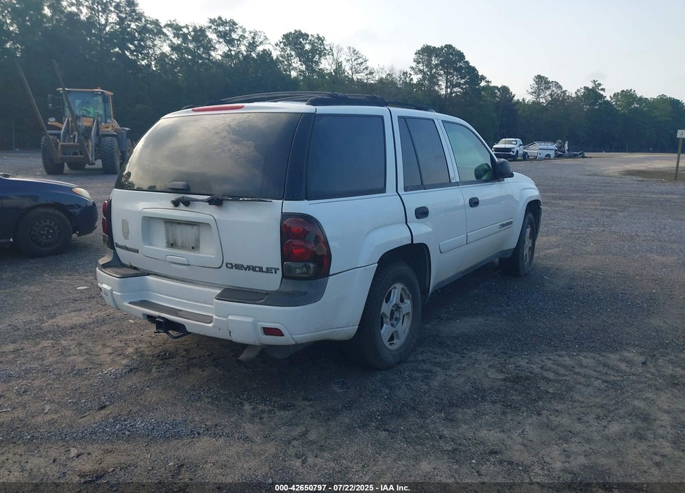 2002 CHEVROLET TRAILBLAZER LS VIN: 1GNDS13S322256632