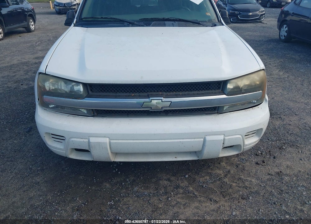 2002 CHEVROLET TRAILBLAZER LS VIN: 1GNDS13S322256632