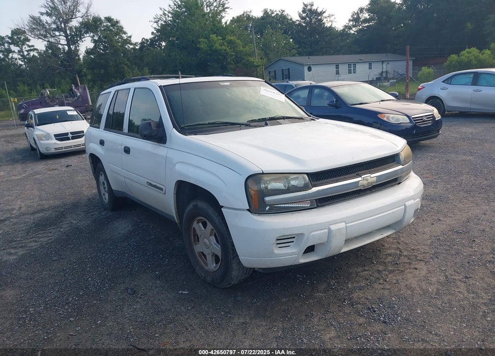 2002 CHEVROLET TRAILBLAZER LS VIN: 1GNDS13S322256632
