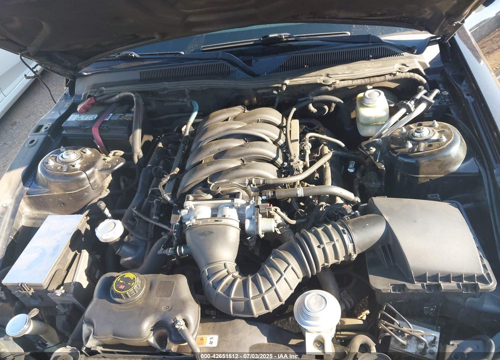2005 FORD MUSTANG GT DELUXE/GT PREMIUM VIN: 1ZVHT82H455205677