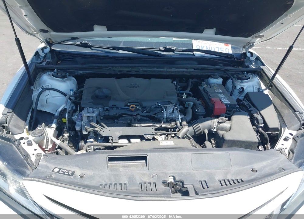 2019 TOYOTA CAMRY VIN: 4T1B11HK8KU786901