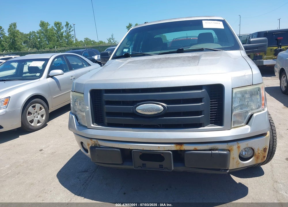 2009 FORD F-150 VIN: 1FTRX12W29FA64321