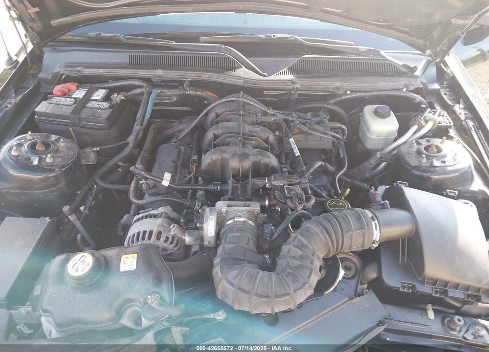 2008 FORD MUSTANG V6 DELUXE/V6 PREMIUM VIN: 1ZVHT80N885180151