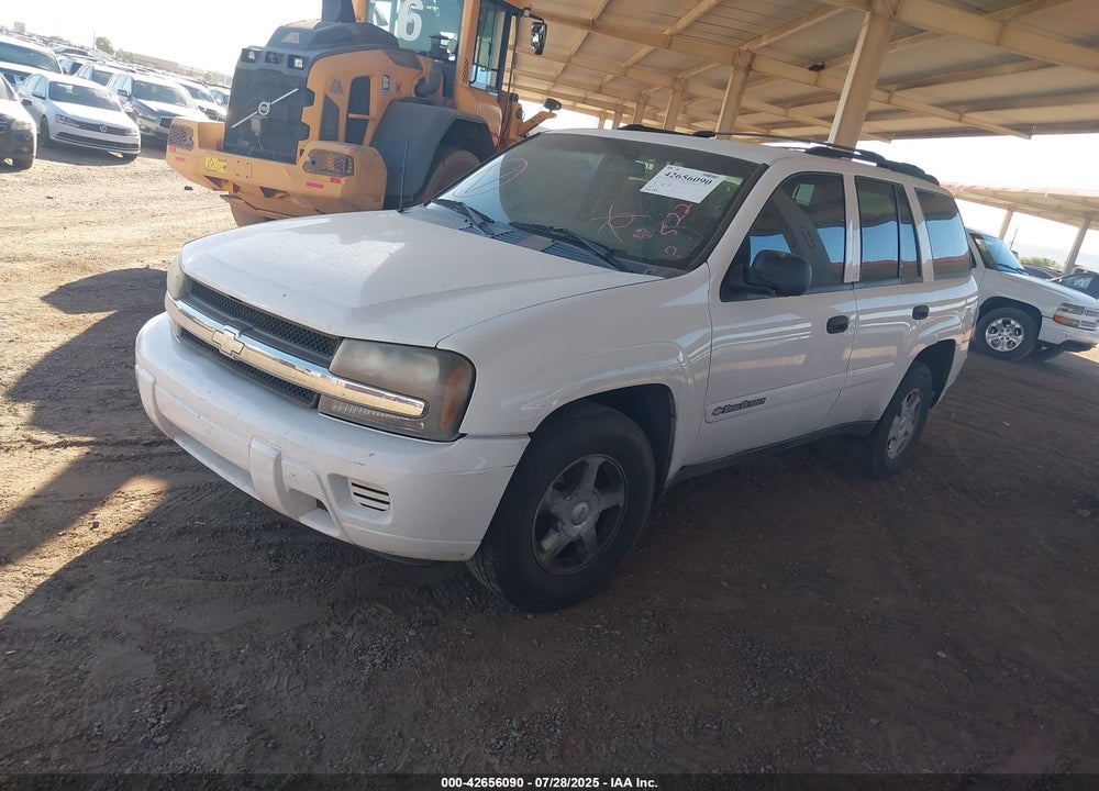 2002 CHEVROLET TRAILBLAZER VIN: 1GNDS13S122522990