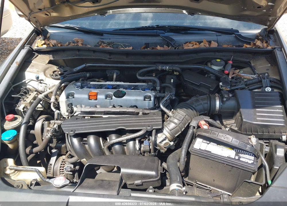 2010 HONDA ACCORD VIN: 1HGCP2F74AA009841