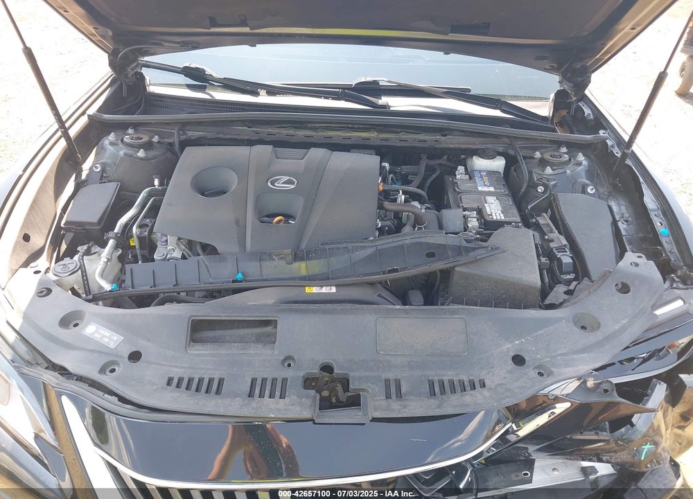 2021 LEXUS ES 250 VIN: 58AC11D1XMU001601
