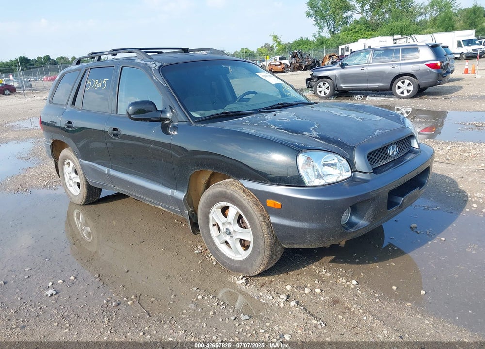 2004 HYUNDAI SANTA FE GLS VIN: KM8SC13D94U642943