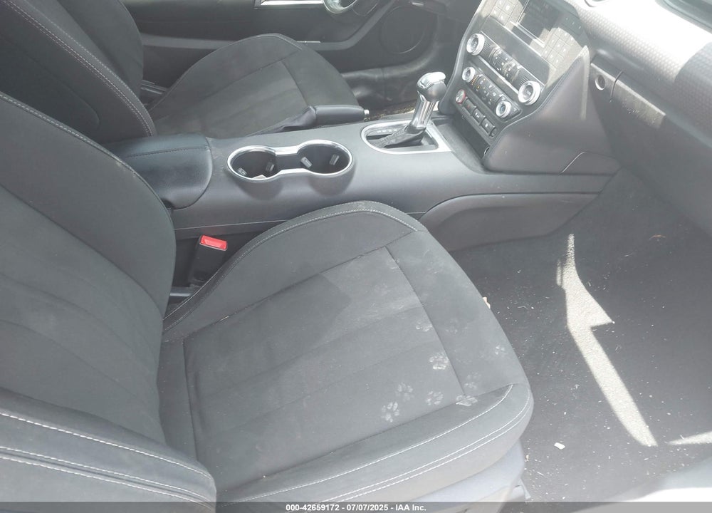 2019 FORD MUSTANG VIN: 1FA6P8CF8K5156948