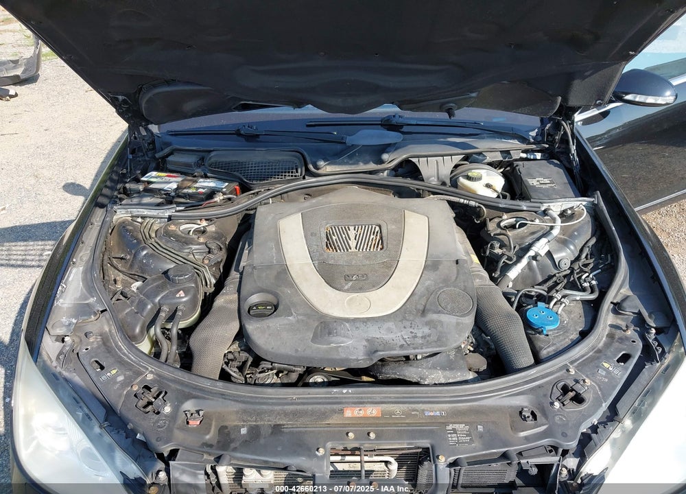 2009 MERCEDES-BENZ S CLASS VIN: WDDNG86X59A244812