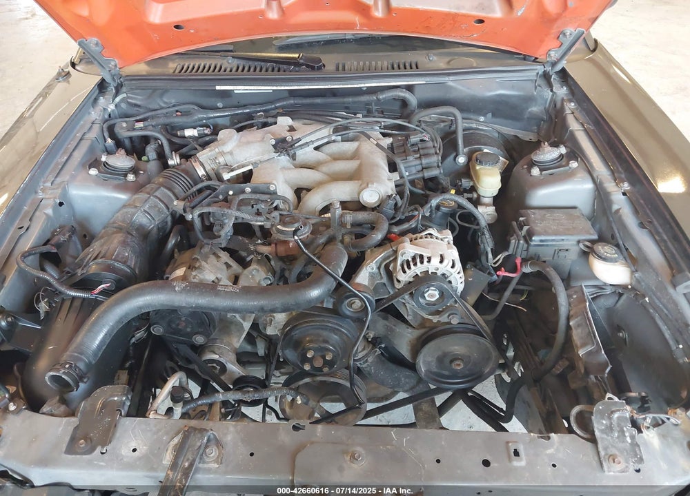2003 FORD MUSTANG VIN: 1FAFP44413F347452