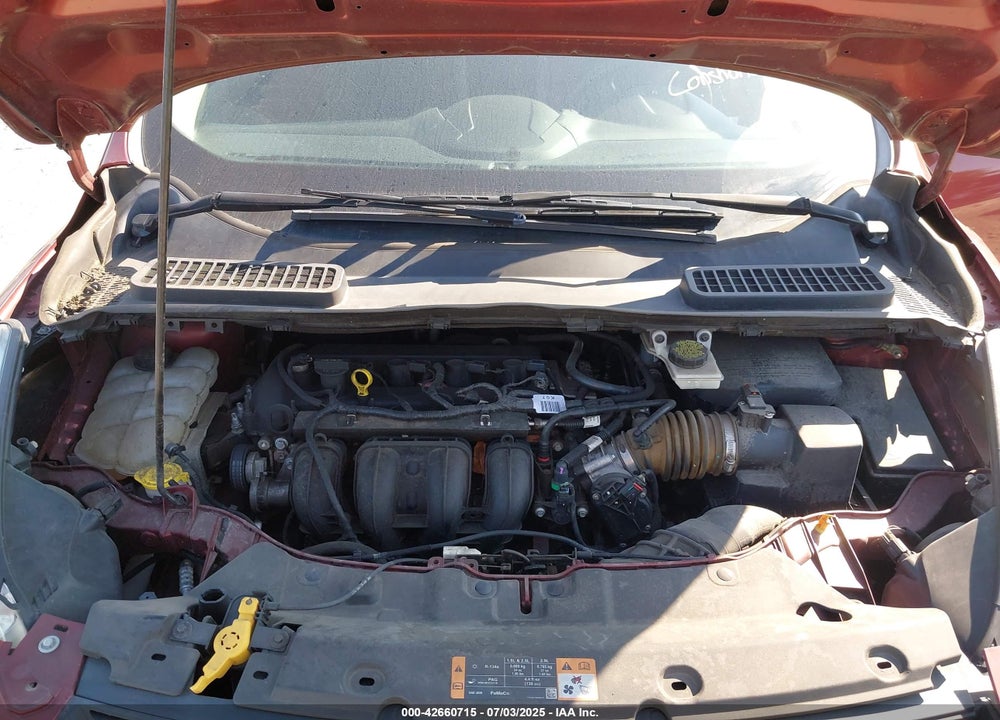 2014 FORD ESCAPE VIN: 1FMCU0F7XEUE32807