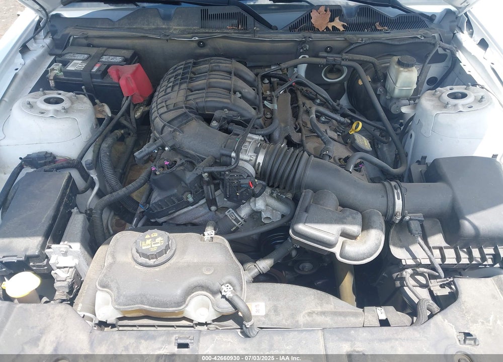 2014 FORD MUSTANG VIN: 1ZVBP8AM8E5253563