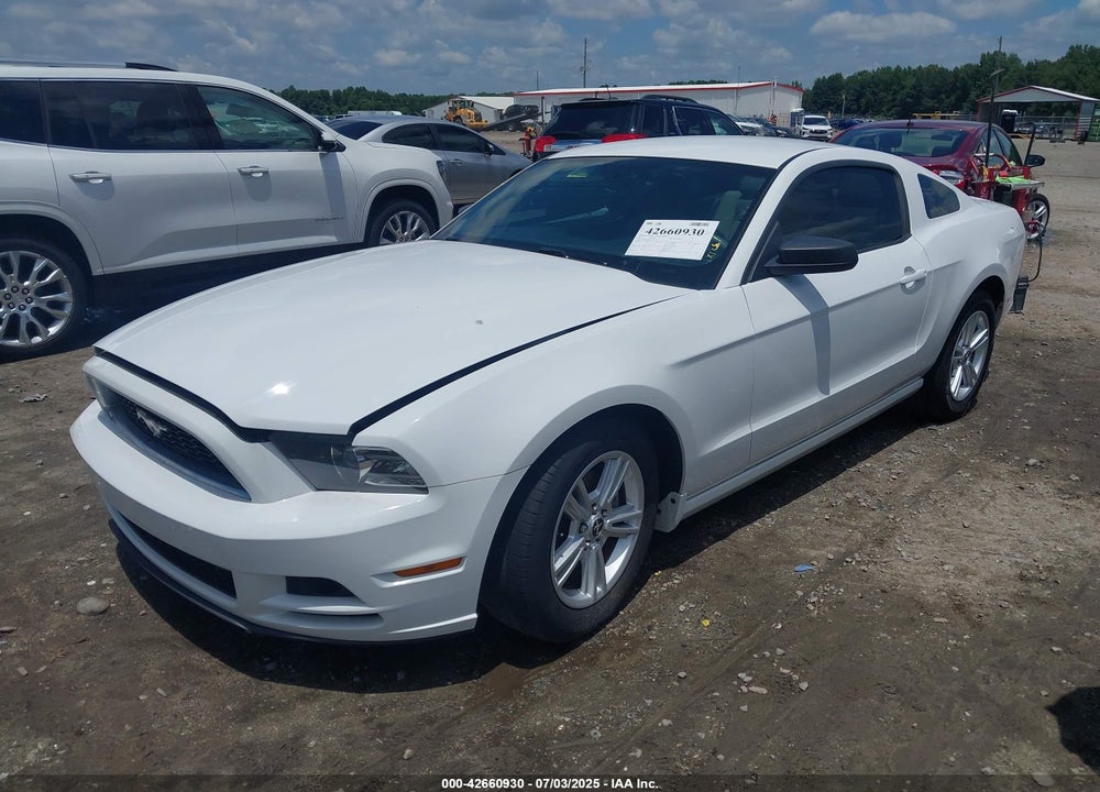 2014 FORD MUSTANG VIN: 1ZVBP8AM8E5253563