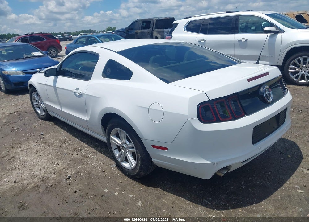 2014 FORD MUSTANG VIN: 1ZVBP8AM8E5253563