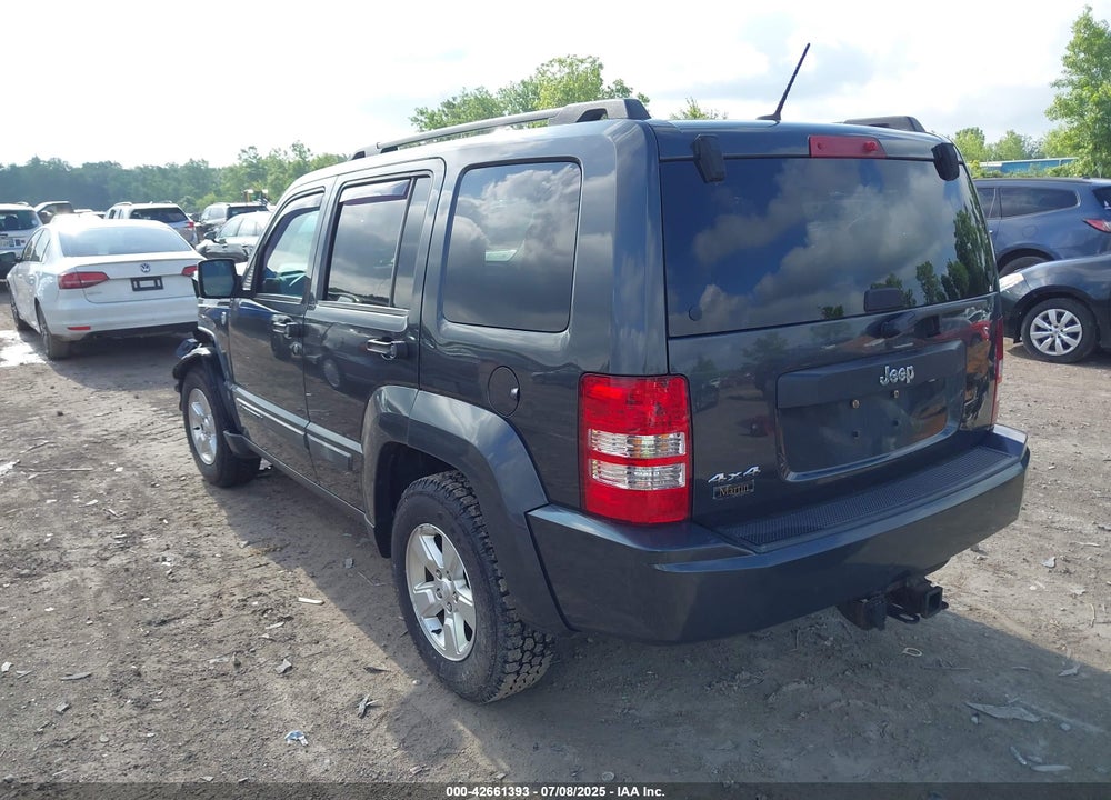 2010 JEEP LIBERTY VIN: 1J4PN2GK8AW166388