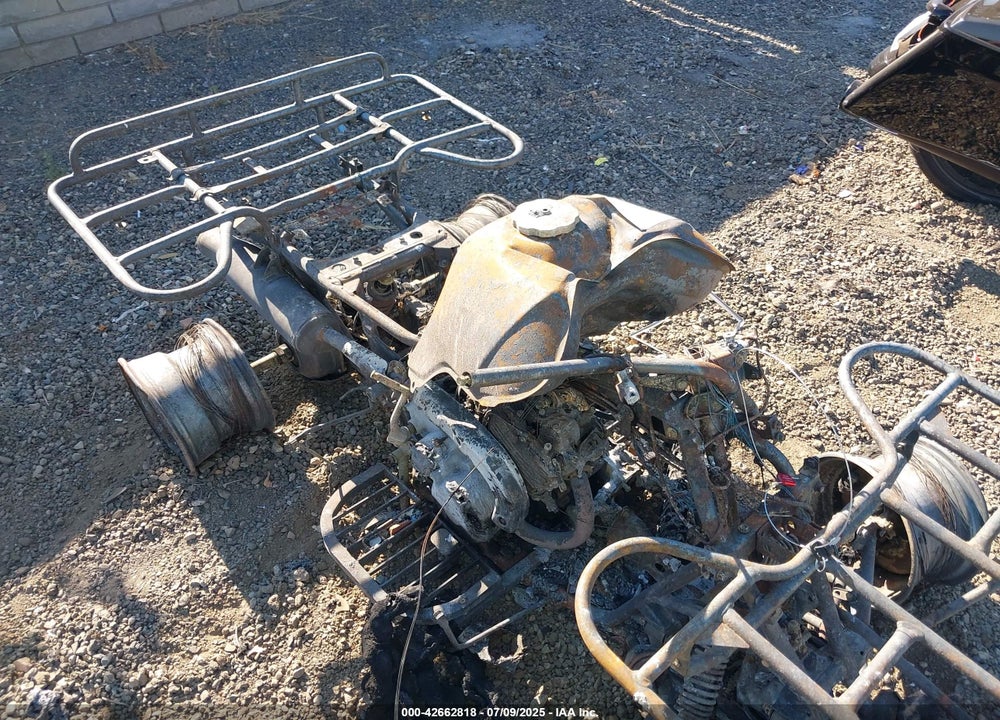 1991 HONDA TRX300 FW VIN: 478TE1503MA322881