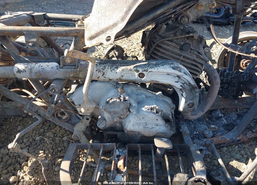 1991 HONDA TRX300 FW VIN: 478TE1503MA322881
