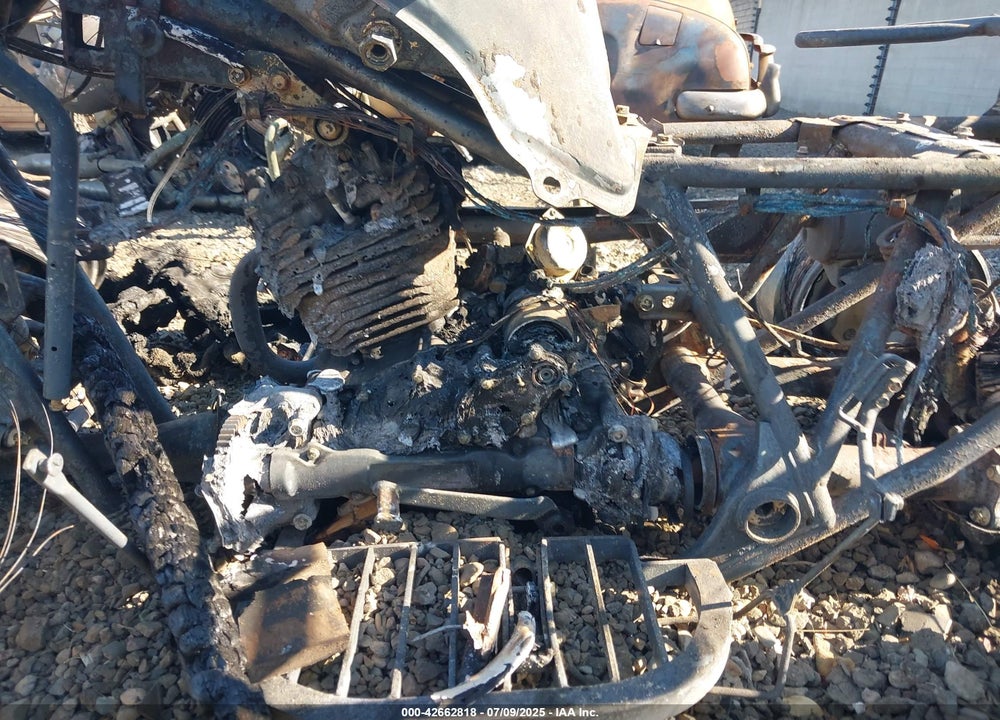 1991 HONDA TRX300 FW VIN: 478TE1503MA322881