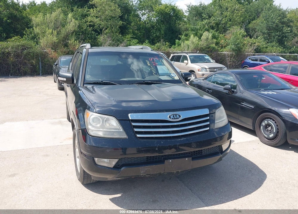 2009 KIA BORREGO VIN: KNDJJ741395020224